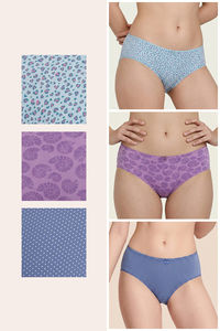 Zivame Regular Rise Full Coverage Hipster Panty (Pack of 3) - Multicolor — thumbnail 2
